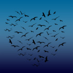 heart shaped flock of birds