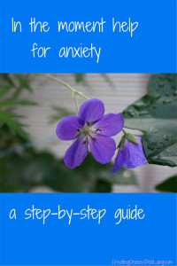 In the Moment Help for Anxiety