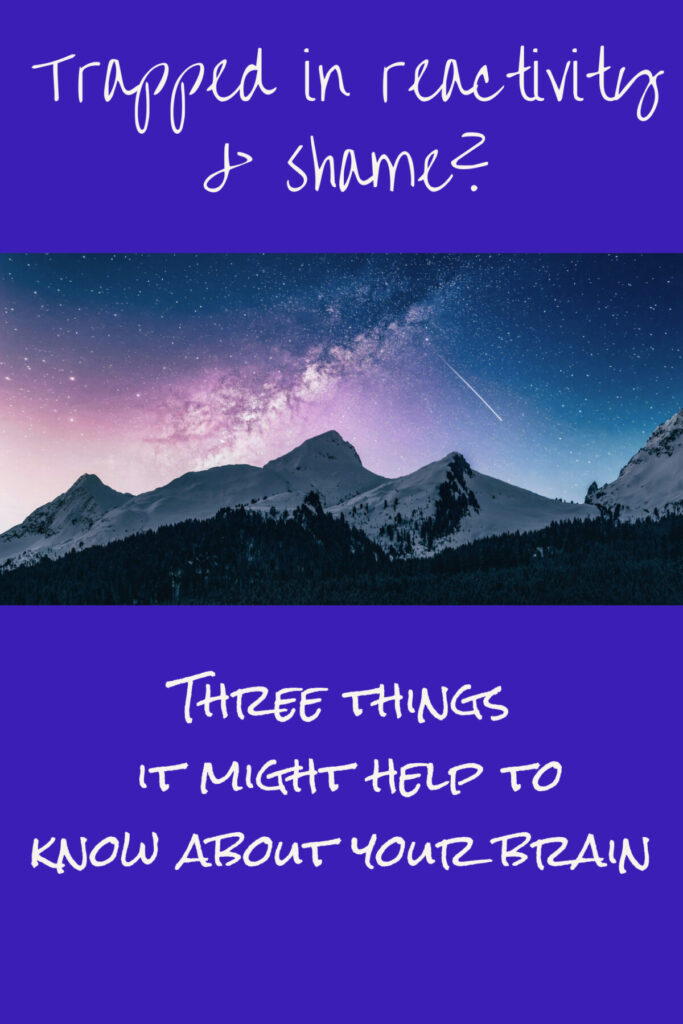 Trapped in reactivity & shame? Three things it might help to know about your brain